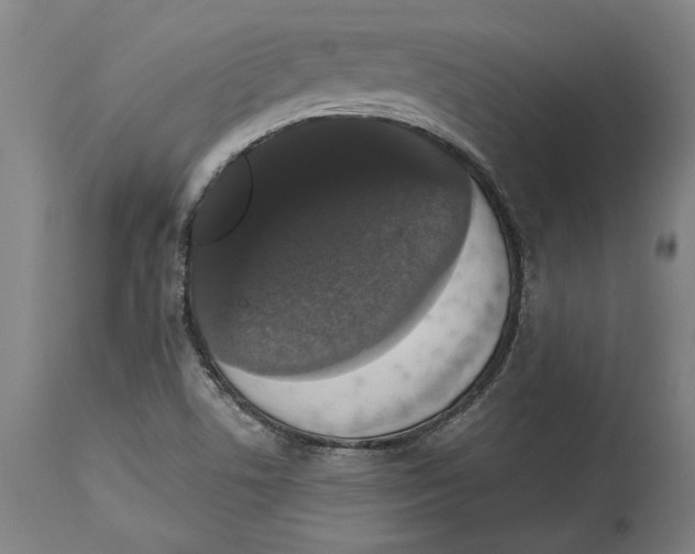 X0000114581506200911161257