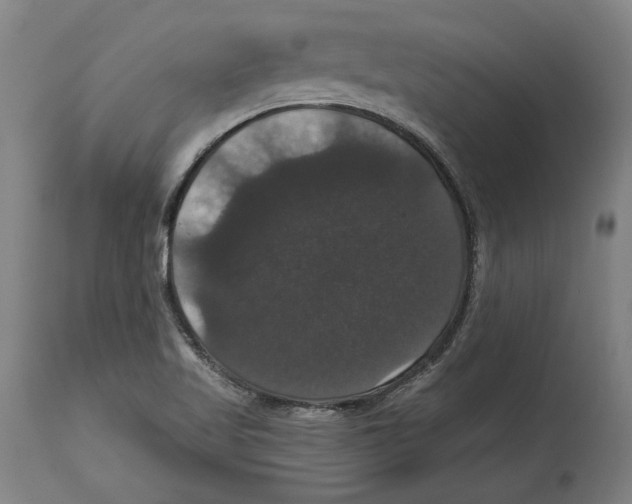 X0000114581509200911161257