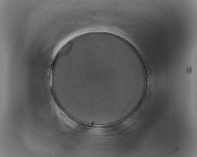 X0000114581510200911161257