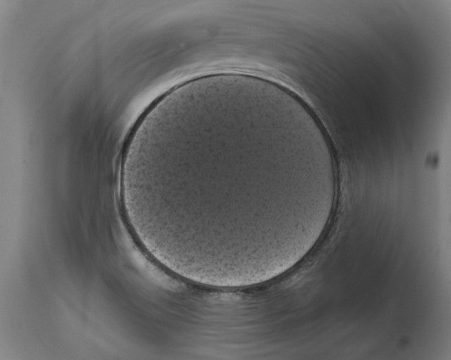 X0000114581515200911161257