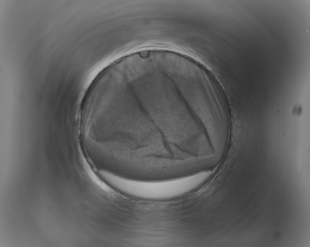 X0000114581519200911161257