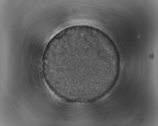 X0000114581521200911161257