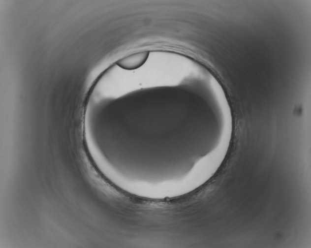 X0000114581522200911161257