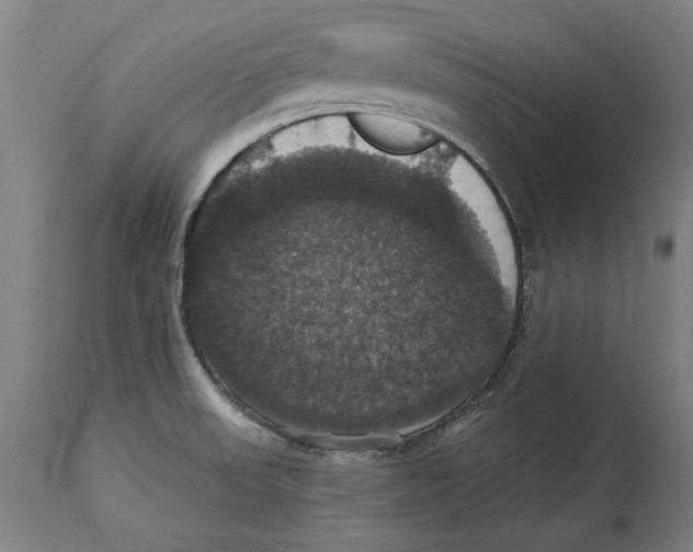 X0000114581523200911161257