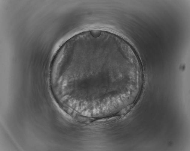 X0000114581525200911161257