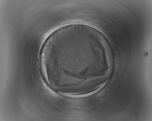 X0000114581527200911161257