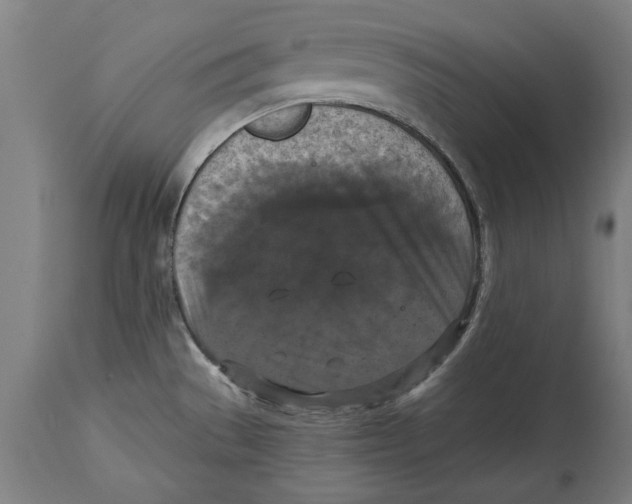 X0000114581529200911161258