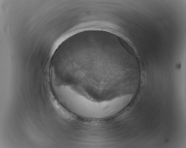 X0000114581530200911161258