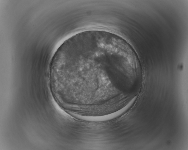 X0000114581531200911161258