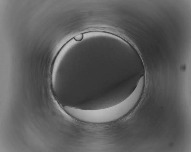 X0000114581533200911161258