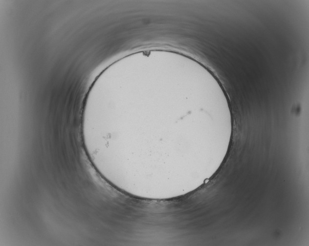 X0000114581534200911161258