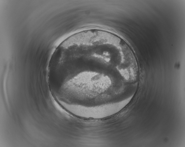 X0000114581535200911161258