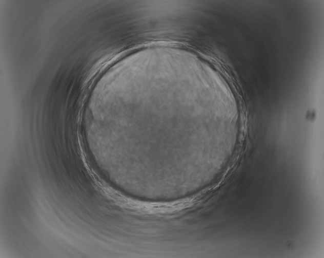 X0000114580001200911301346