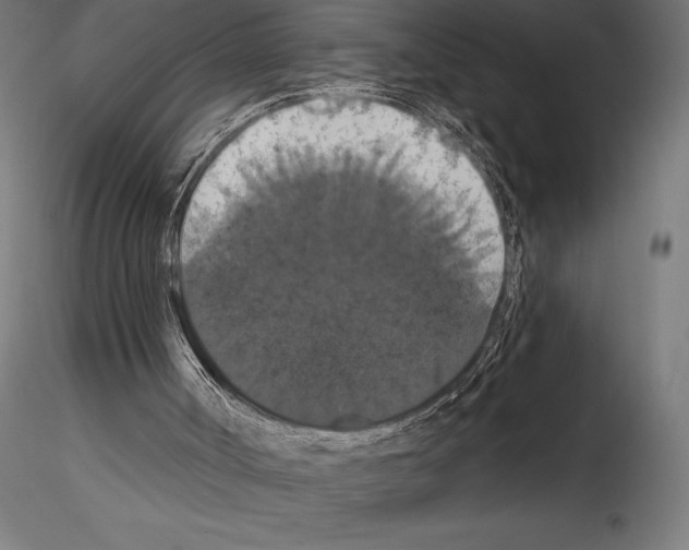 X0000114580002200911301346