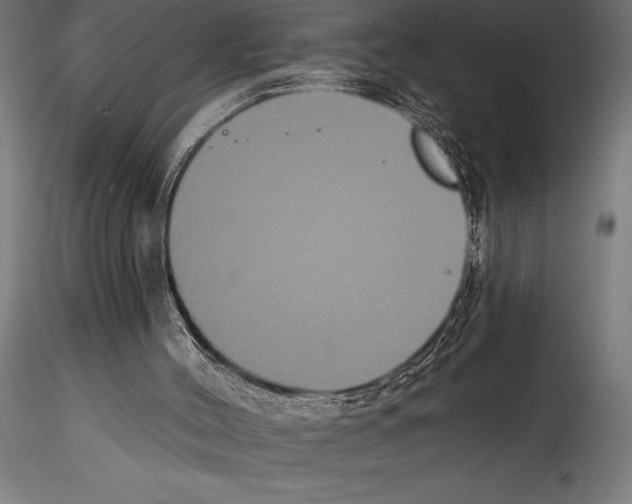 X0000114580004200911301346