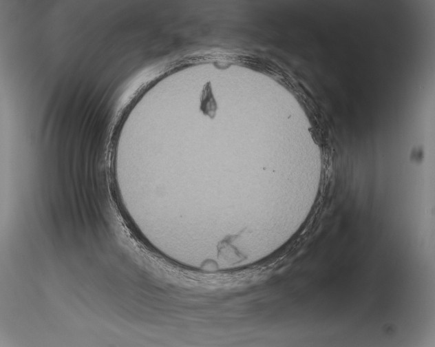 X0000114580006200911301345