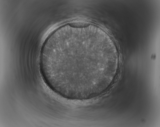 X0000114580007200911301345