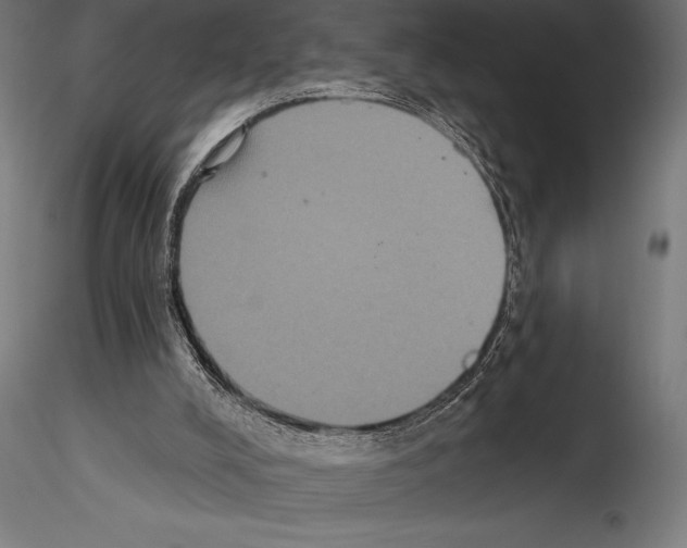 X0000114580008200911301345