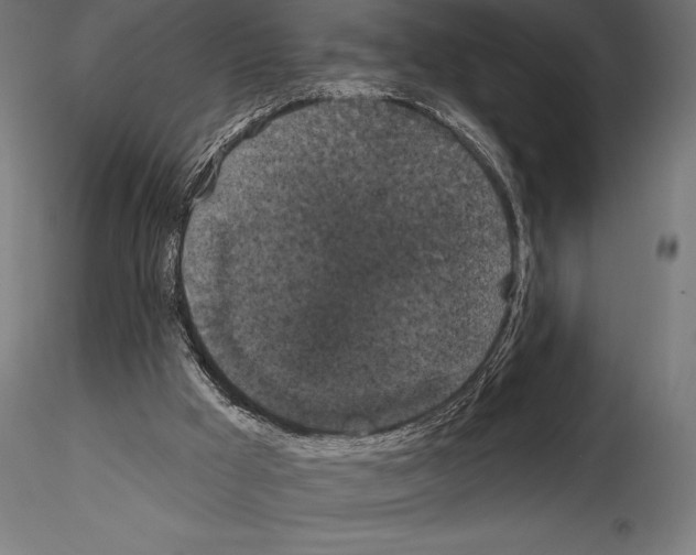 X0000114580009200911301345