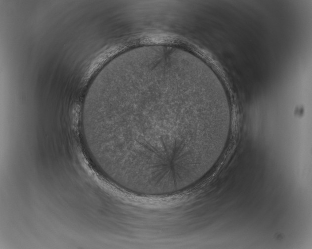 X0000114580010200911301345