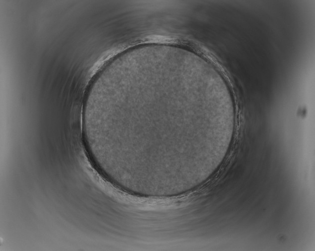 X0000114580011200911301345