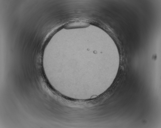 X0000114580012200911301345