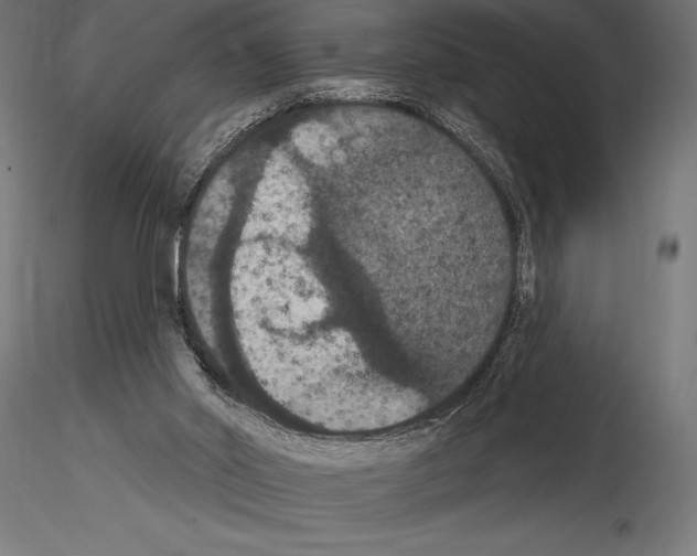 X0000114580014200911301345