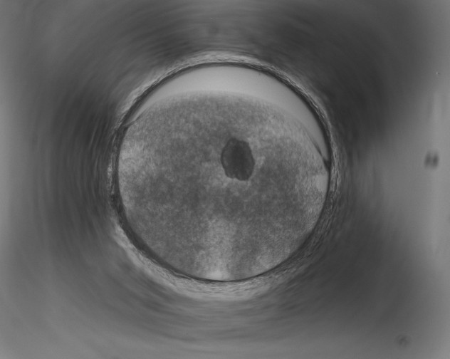 X0000114580015200911301345