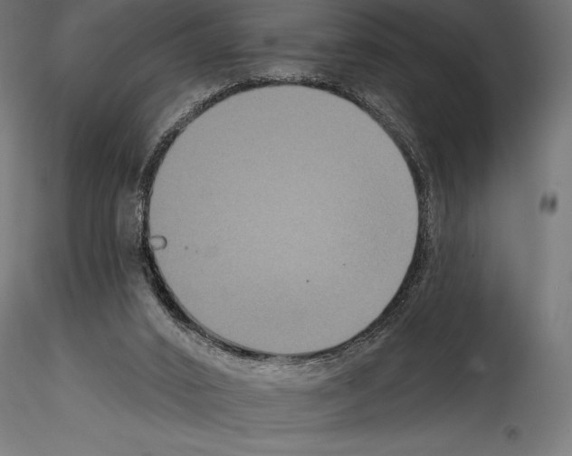 X0000114580016200911301345