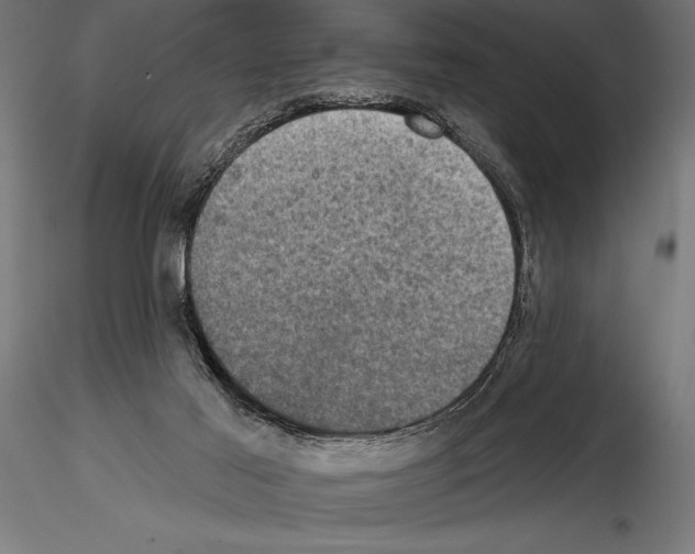 X0000114580021200911301345