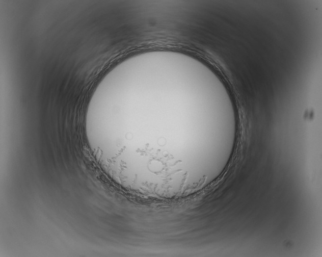 X0000114580025200911301345