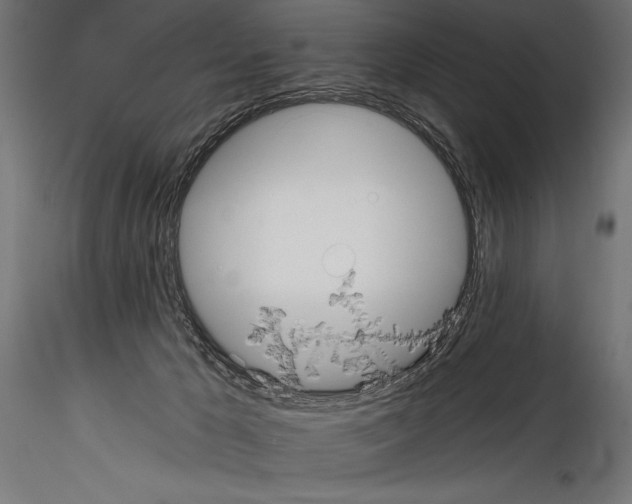 X0000114580029200911301345