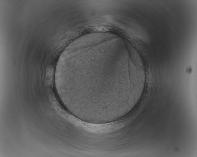 X0000114580030200911301345