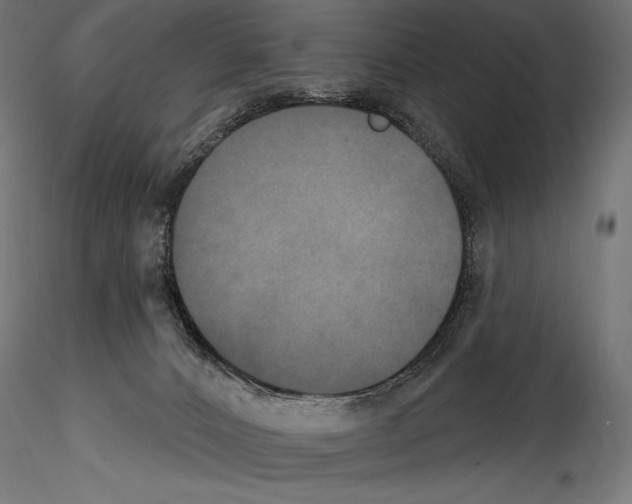 X0000114580032200911301345