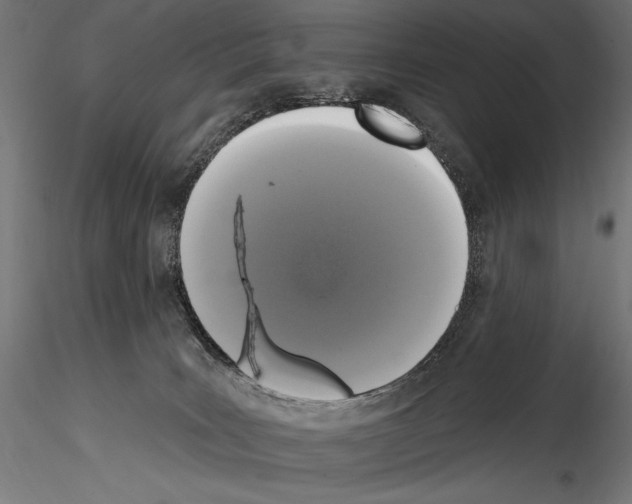 X0000114580035200911301345