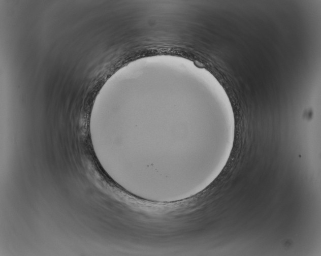 X0000114580039200911301345