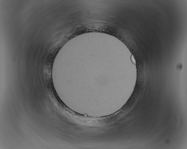 X0000114580040200911301345