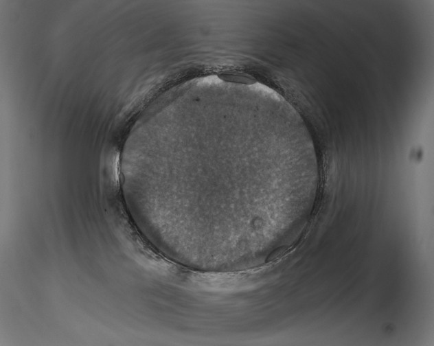 X0000114580041200911301345