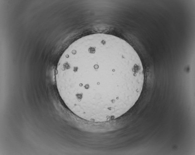 X0000114580042200911301345