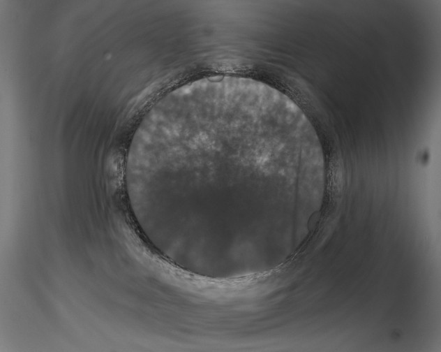 X0000114580043200911301345