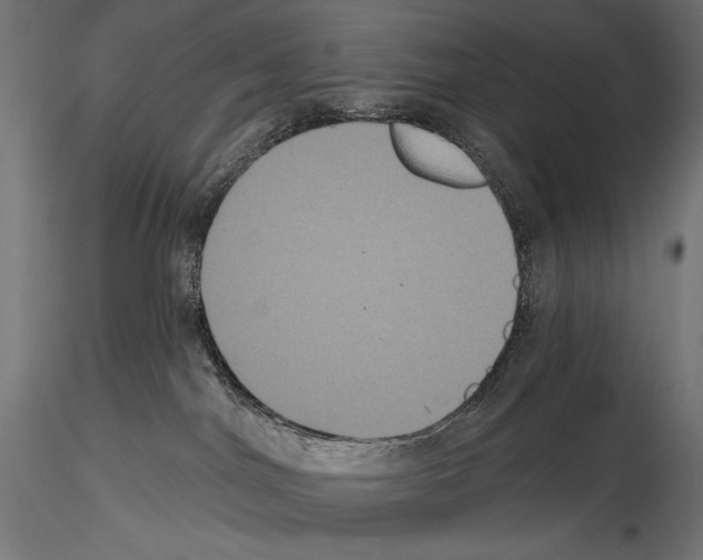 X0000114580044200911301345