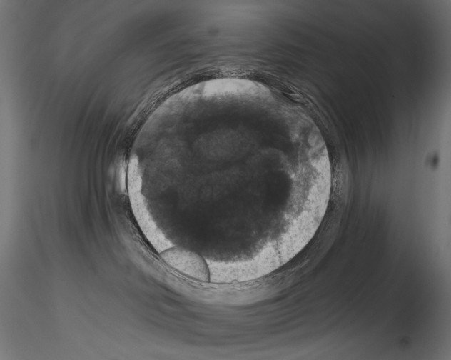 X0000114580046200911301345