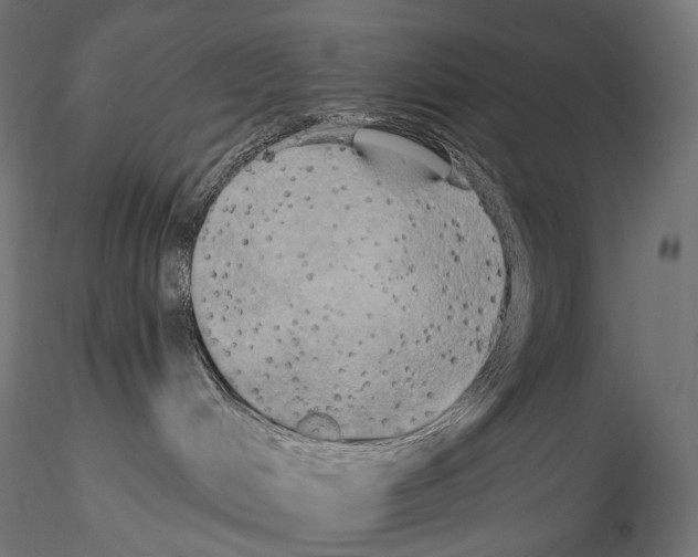 X0000114580048200911301345