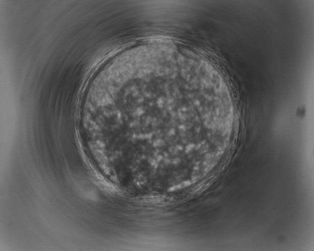 X0000114580049200911301344