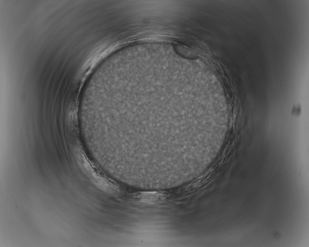 X0000114580050200911301344