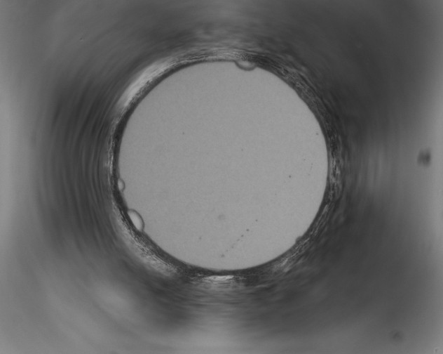 X0000114580054200911301344