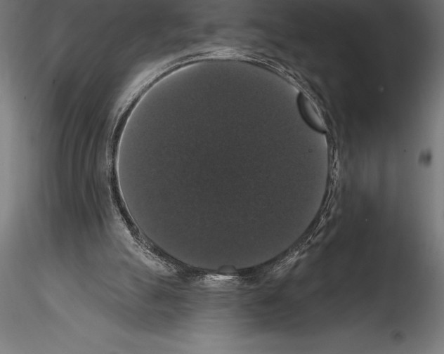 X0000114580055200911301344