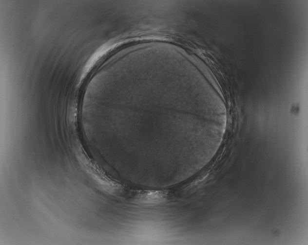 X0000114580056200911301344