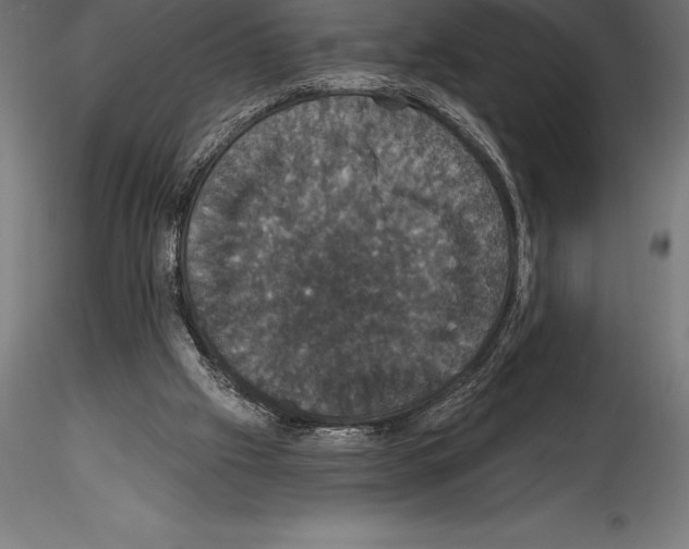 X0000114580057200911301344