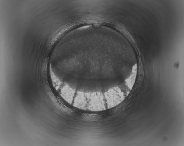 X0000114580058200911301344